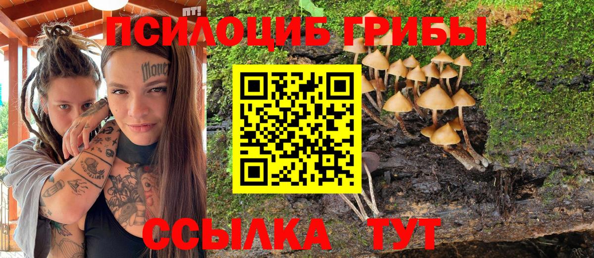 Джанкой  Псилоцибиновые грибы мухоморы  Вход с VPN 