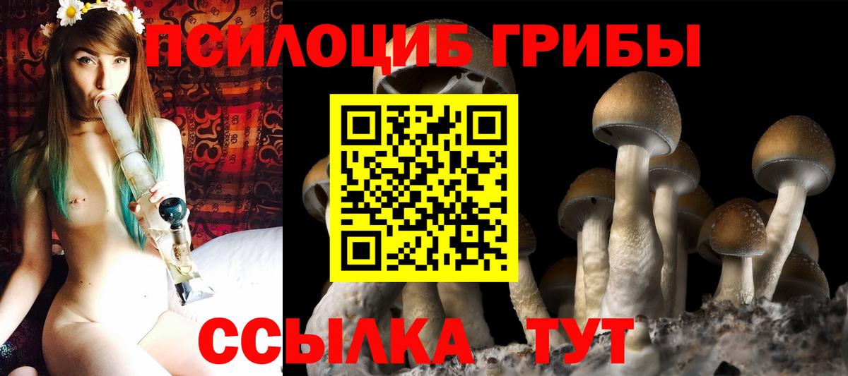 Галлюциногенные грибы Psilocybe Джанкой